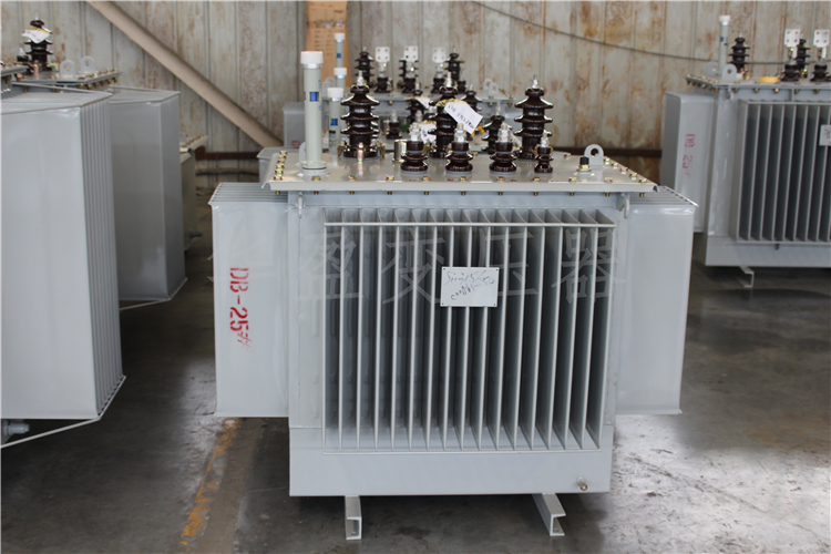 拉萨S20-800kVA/10kV/0.4kV变压器